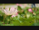 【初音ミク】雨、生、花【オリジナル】