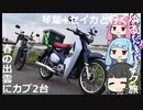 琴葉+セイカと行くゆる～いバイク旅　春の出雲にカブ2台【カブC125】