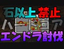 ハードコアで”石以上の武器防具禁止”でエンドラ討伐を目指す。