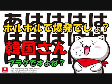 ホルホルで爆発でしょ？韓国さん