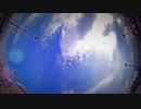 Herzlos - 6thフリーアルバム XFD / Inuwatari Ryosuke
