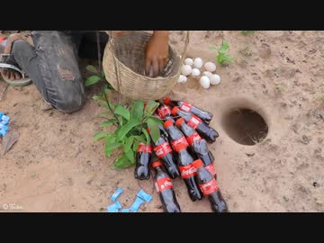 ホモと見る炭酸飲漁 part3 VSワニ編