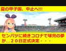 【Vtuber】甲子園が中止。つらいのは球児だけじゃないというお話
