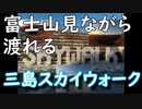 ［旅動画］[コロナに負けるな]三島スカイウォークに行ったよ