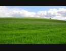 test動画