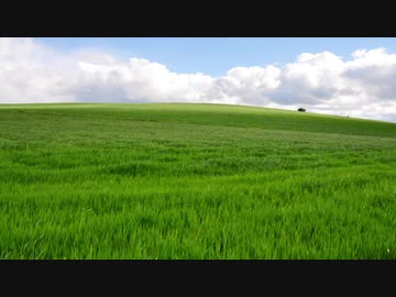 test動画