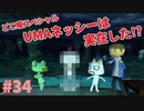 隠れた名作！どこでもいっしょ・トロと流れ星を実況プレイ その34