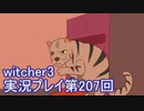探し人を求めてwitcher3実況プレイ第207回