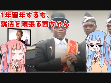 1年留年するも、就活を頑張る茜ちゃん