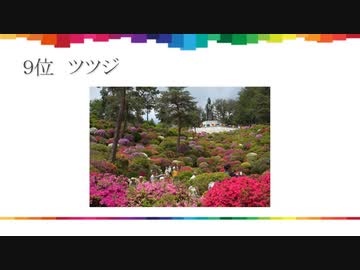 古資料　平成二十六年花ベスト３０　１７位~４位