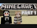 【Minecraft】建築なんてクソ喰らえ【二人実況】