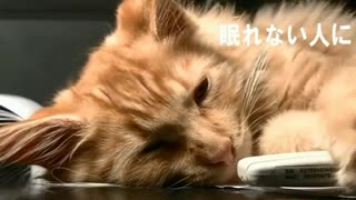 【ねむれない人に】改作・昔話「かちかち山」（作：朗読　神野守）