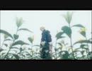 [Special GMV] Memoir Of A Forgotten Heart
