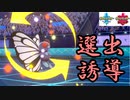 相手の選出にストレスを。「バタフリー」編　～1日20分！「スキマ」ポケモン学習　#41～ 【ポケモン剣盾】