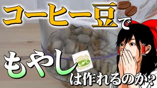 【ゆっくり実験】コーヒー豆からもやしは作れるのか？【霊夢博士】