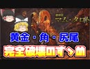 【MHWI】MRマムタロト　徹甲ライトを使えば、部位破壊も討伐も簡単にできる！装備と対策を紹介！【ゆっくり実況】