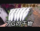 【野外飯】干物の王道アジを焚火で焼く！
