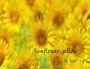【鏡音リン】Sunflower;yellow【オリジナル】
