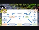 【アクアリウム】手入れ不要なメダカ水槽を目指して。第06話～水槽立ち上げ編～「バクテリアの話」【ゆっくり】