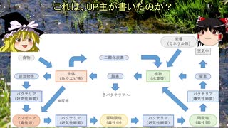 【アクアリウム】手入れ不要なメダカ水槽を目指して。第06話～水槽立ち上げ編～「バクテリアの話」【ゆっくり】