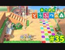 【あつまれどうぶつの森】#35 - 階段下のまったりできる休憩所をつくりました！【女性実況】【どうぶつの森】【あつ森】