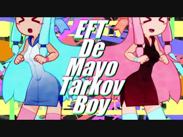 Escape from Tarkov でマヨったっぽい
