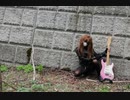 HELLOWEEN 「I CAN」弾いてみたおかま