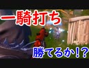 【フォトナ】目標1日1ビクロイ！ 今日もビクロイ目指して頑張るぞい！
