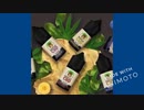 Mixology_CBD_Online_-_The_World039s_No.1_CBD_Retailer_360p