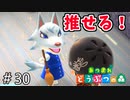 【あつ森】ビアンカきたよ！あとついでにミュージアムデー。＃30