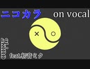 【ニコカラ】ペイズリーロード【on vocal】