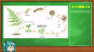 【中学１年・理科】短時間で学ぶ「種子をつくらない植物の分類」