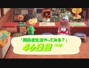 【N.Sw】" あつまれ どうぶつの森 " 開拓者生活やってみる？　46日目 (午前)　【生放送】