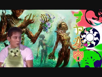 なんだコレコレ変容野郎、