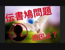 視聴者側が知っておくべき伝書鳩問題の実態【にじさんじ】