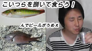 ベラとスズメダイを捌いてたべる