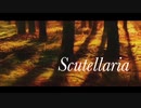 【あいる】Scutellaria【歌ってみた】
