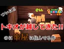 【新島民!】絶滅種が越してきた!!【フリーターによる】あつまれどうぶつの森#22【俺たちは家族だ】【毎日3本投稿!】【GWSP】