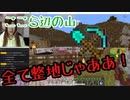 【マイクラ】最初は寂しくぼっちで整地だったのに・・・？【参加型】