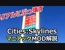 Cities Skylines MOD ぶっ壊れ系 導入前→導入後 解説 11個