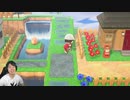 【あつまれ どうぶつの森】博物館周りの建築・島の道の整備をして逝くぞー!#56