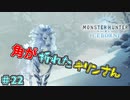 何かによって折られた角　「モンスターハンターワールド：アイスボーン～討伐編～」　＃22