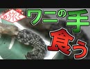 【旅動画】ワニ手を食べれるテーマパークがあるらしい 【めぐたび２】#1