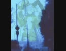 サイレンヘッドごっこするキングプロテア