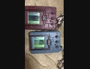 デジモンver.20th、オメガモン進化