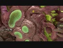【実況】 DOOM_ETERNAL＿第４回　3/4