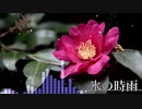 氷の時雨 / RioClare
