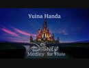 【フルートで】ディズニーアニメーションメドレー【演奏してみた】
