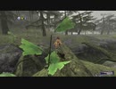 カッパのFF11生活1048　チョコボ宅配２０２０／ブンカール散歩　【実況】
