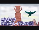 探し人を求めてwitcher3実況プレイ第210回